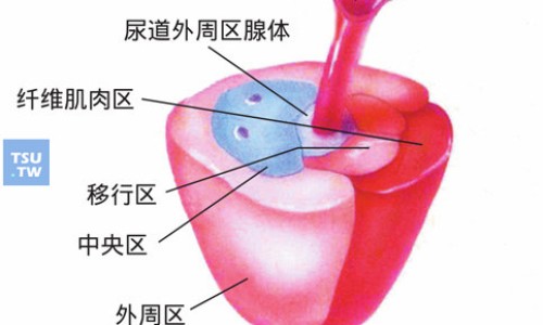 中美益康胶囊价格网 | 美益康科技,益美康合法吗